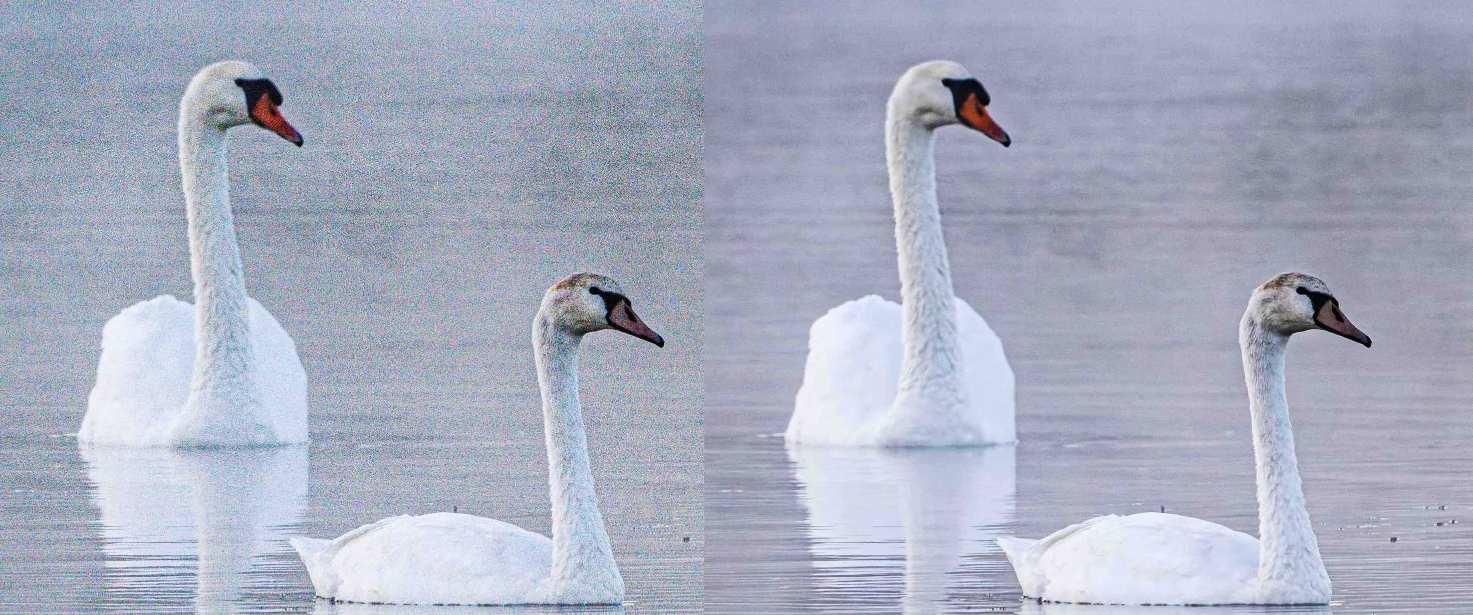 adobe-lightroom-mit-ki-gesteuerter.jpg